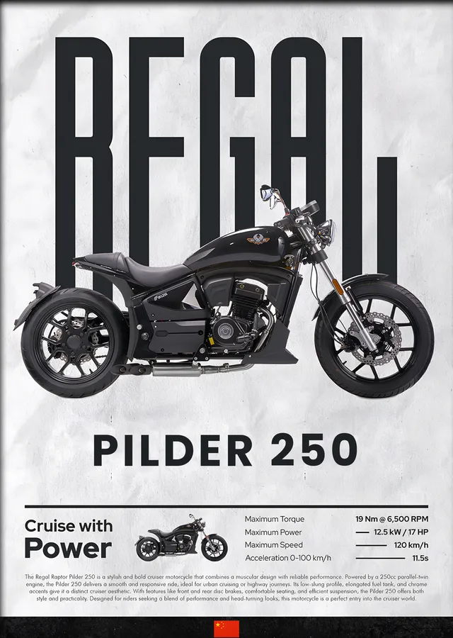 Regal Raptor Pilder 250 metal tablo