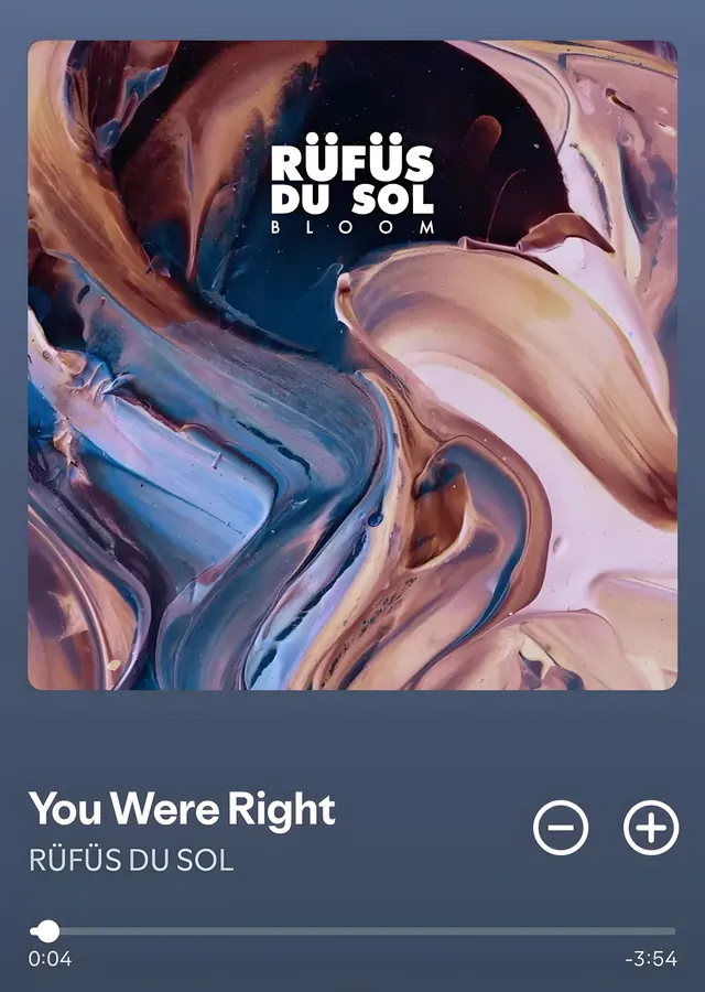 Rüfüs Du Sol - You Were Right metal tablo