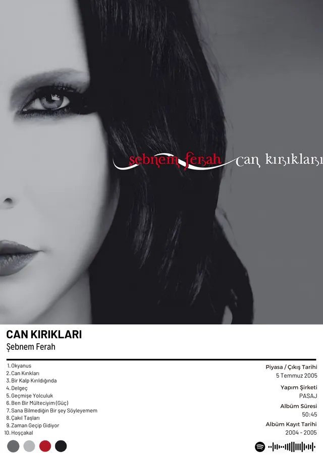 Şebnem Ferah - Can Kırıkları metal tablo