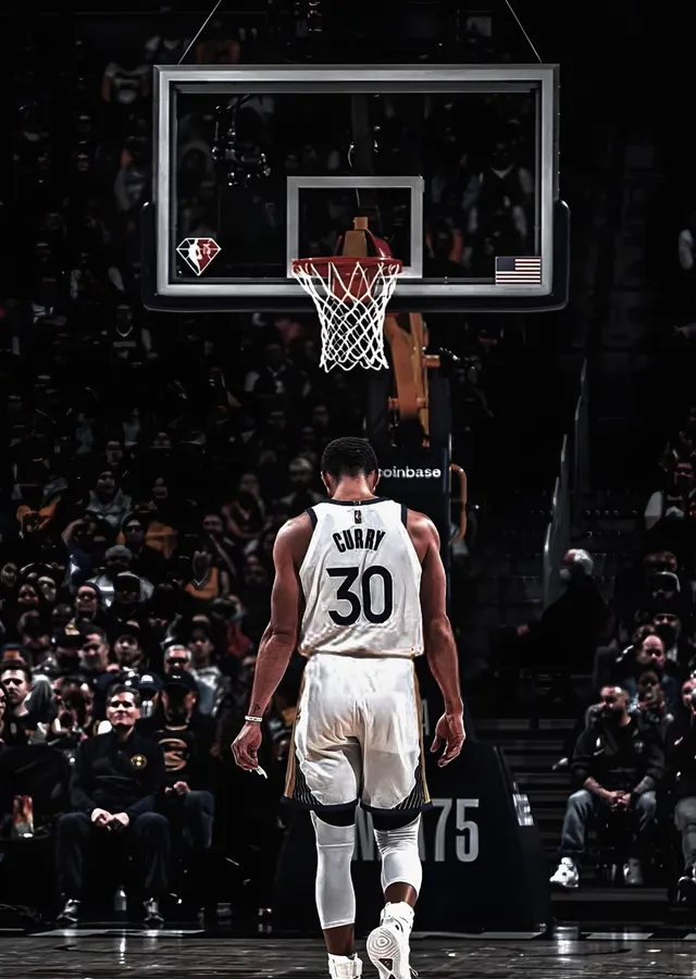 Stephen Curry: Pota Önünde metal tablo