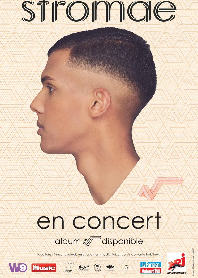 Stromae - En Concert metal tablo