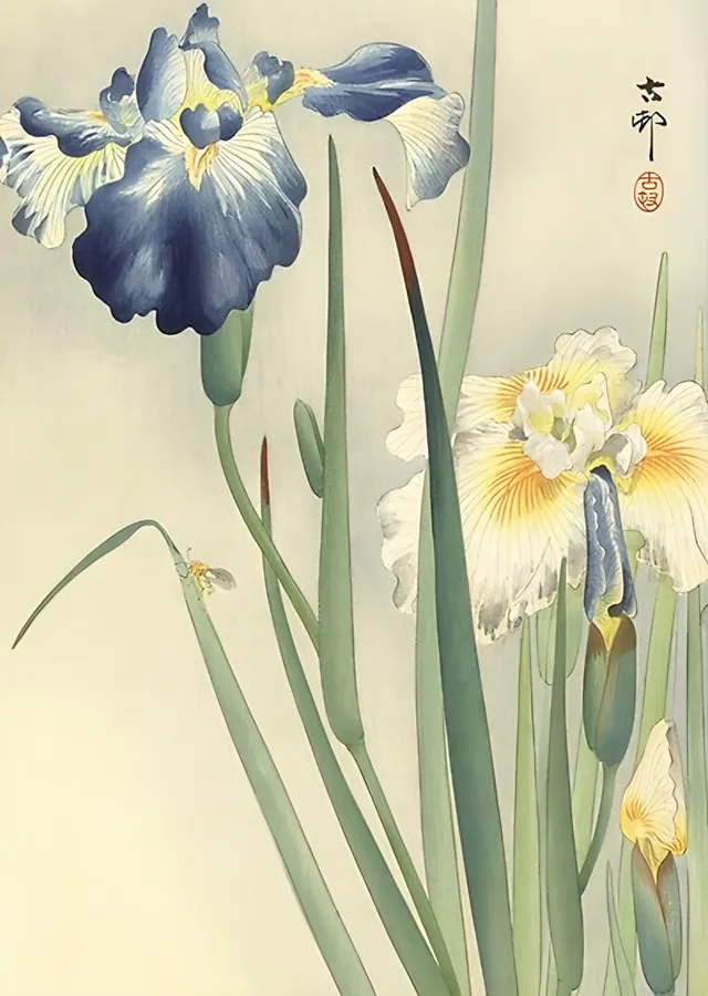 Süsen Çiçekleri - Ohara Koson metal tablo