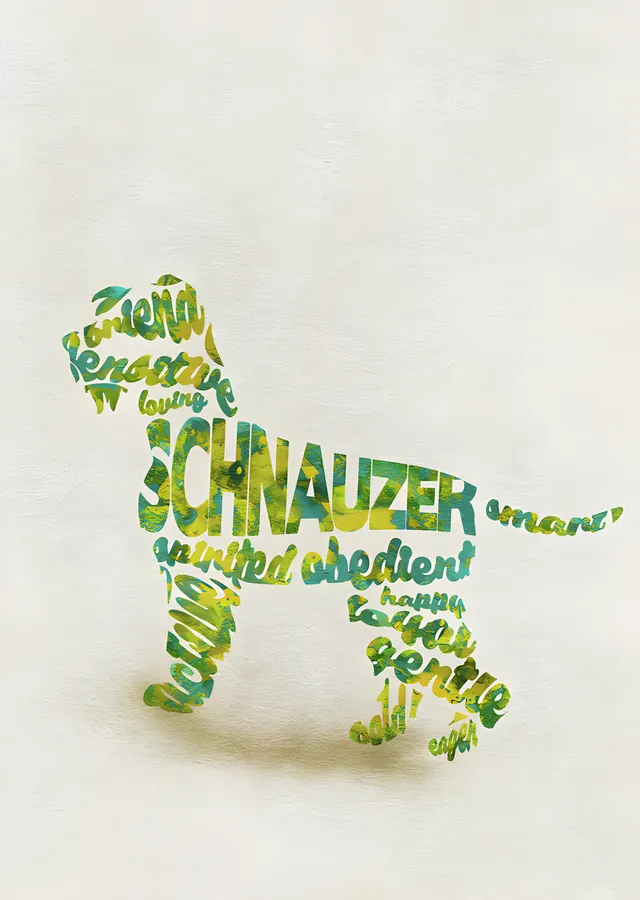 Schnauzer - Tipografi metal tablo