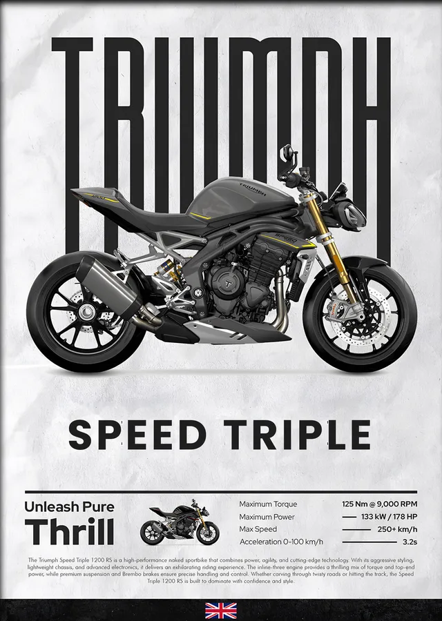 Triumph Speed Triple metal tablo