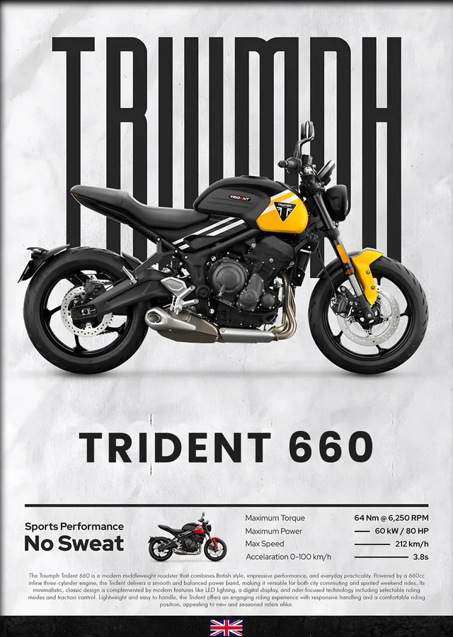 Triumph Trident 660 Sarı metal tablo