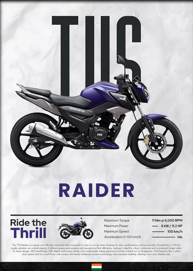 TVS Raider Mor metal tablo