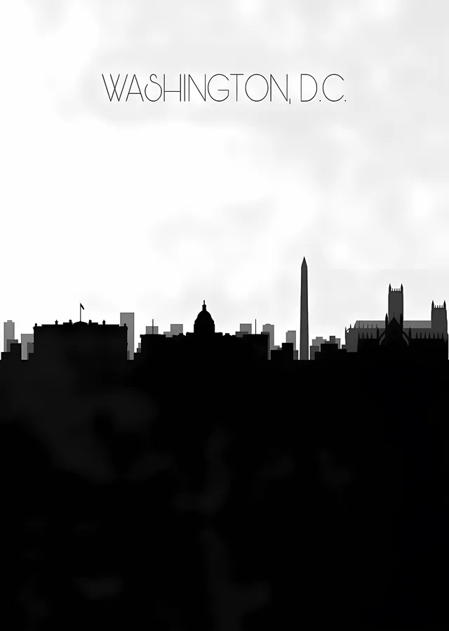 Washington D.C. Silueti metal tablo