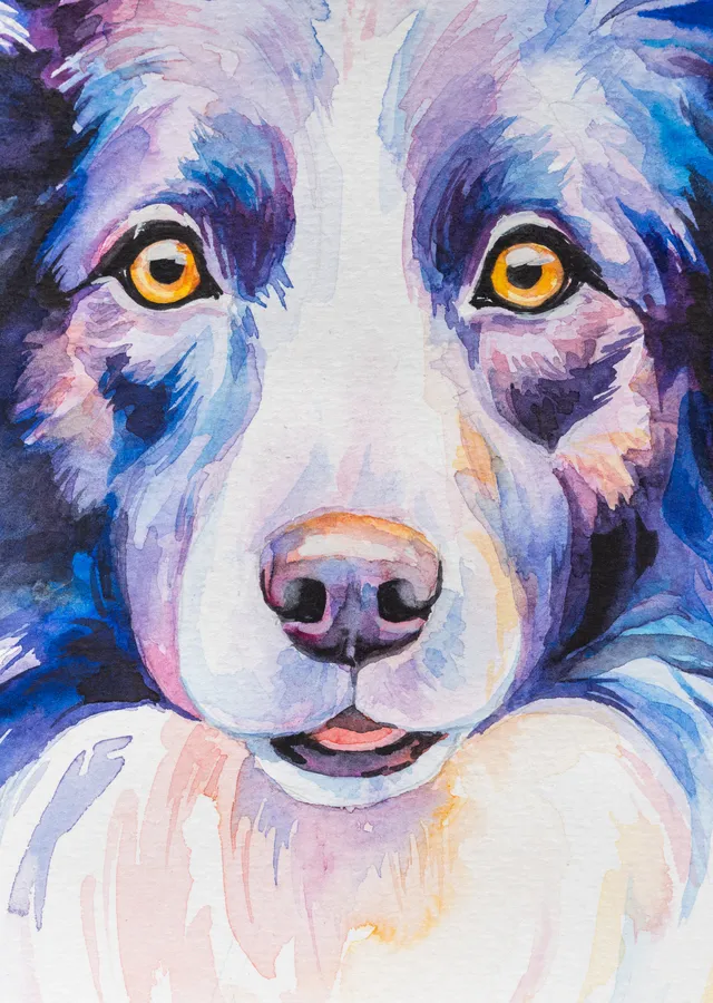 Su Renkleriyle Yüz İfade Eden Bir Köpek metal tablo