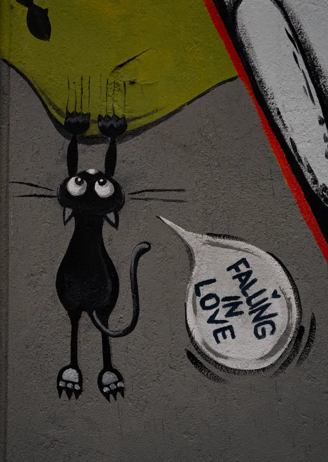 Aşkı Düşünen Kedi metal tablo