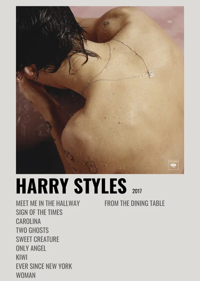 Harry Styles 2017 metal tablo