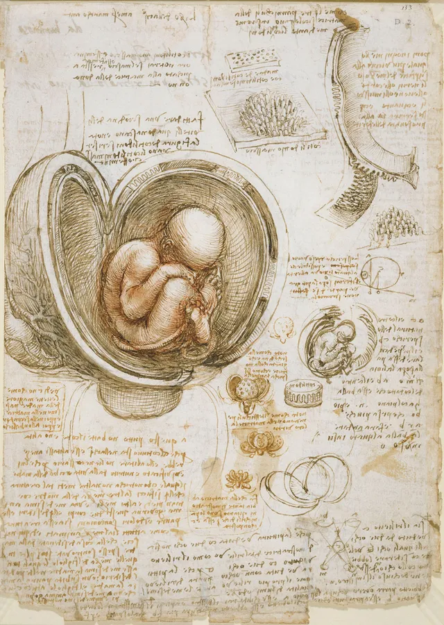 Rahimdeki Fetus Çalışmaları - Leonardo da Vinci metal tablo
