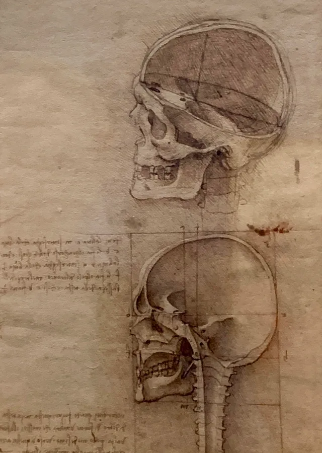 Çizimlerle Bir Hayat - Leonardo da Vinci metal tablo