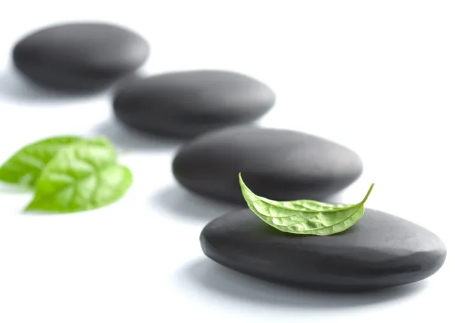 Zen Taşları ve Yaprak metal tablo